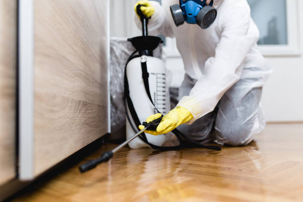 Best Bed Bug Extermination  in Amboy, IL