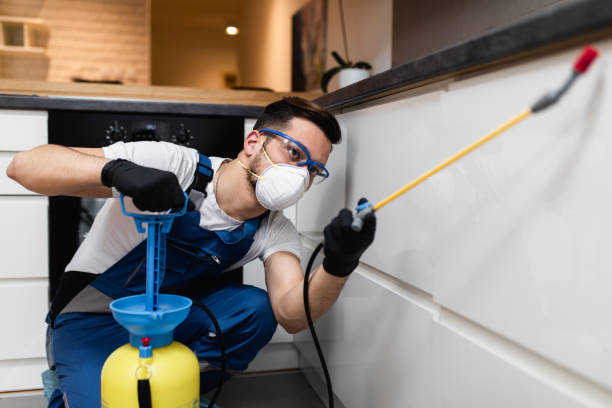 Best Commercial Pest Control Services  in Amboy, IL