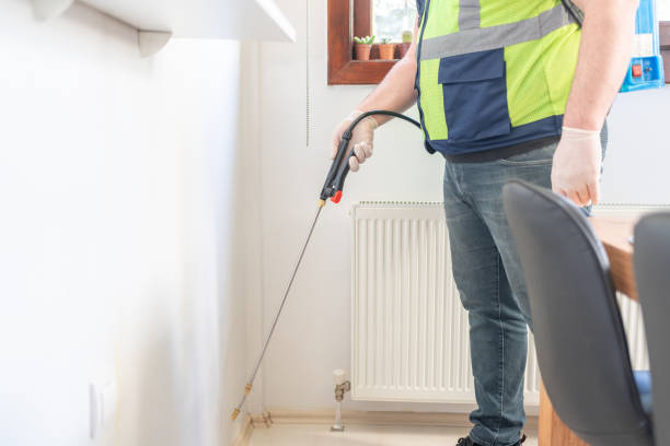 Best Affordable Pest Control Services  in Amboy, IL