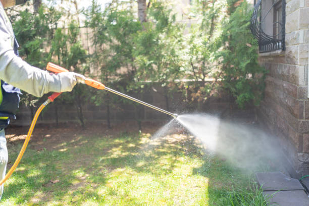 Best Residential Pest Control  in Amboy, IL