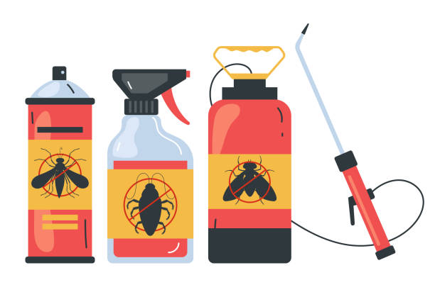Trusted Amboy, IL Pest Control Experts